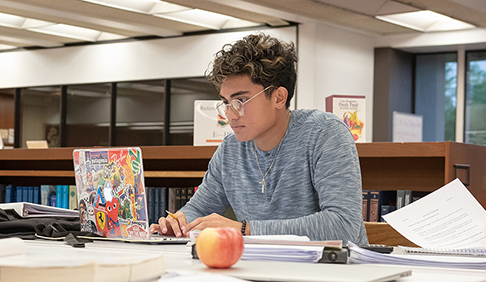 Student studying in the library
