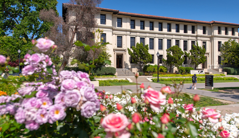 Occidental College