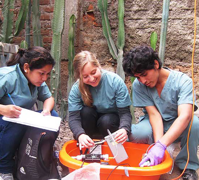 Students researching in Latin America