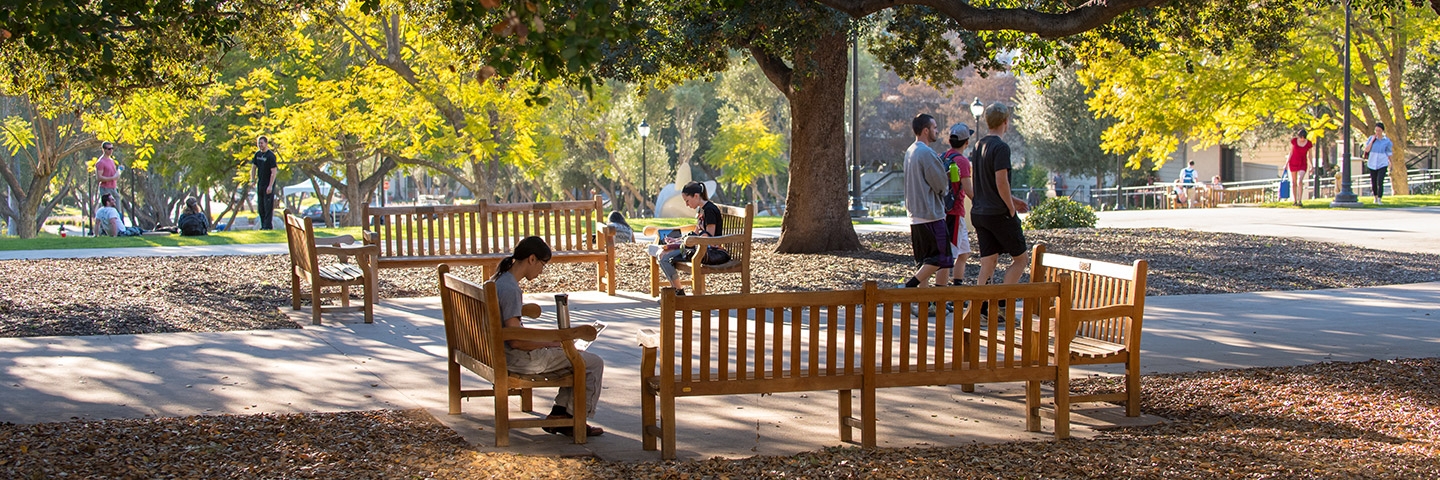 A student sits on one of the benches in the academic quad while others mingle in the background surrounded by sun-dappled trees