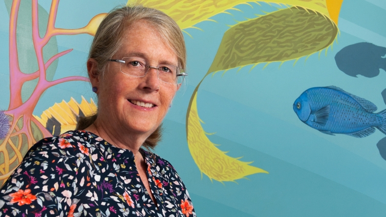 Kimberly Shriner ’80