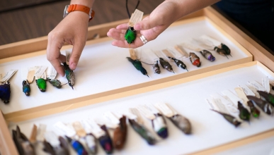 Oxy alumni awarded NSF Fellowships