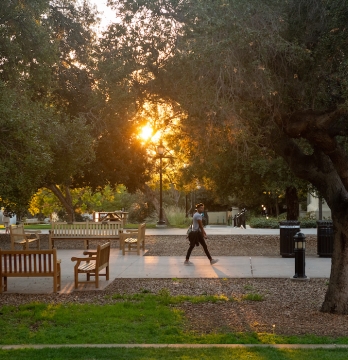 The Academic Quad at sunset